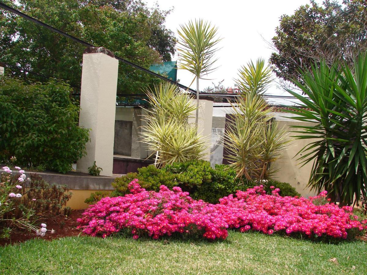 Private Pool Apt. With Great View Funchal  Extérieur photo