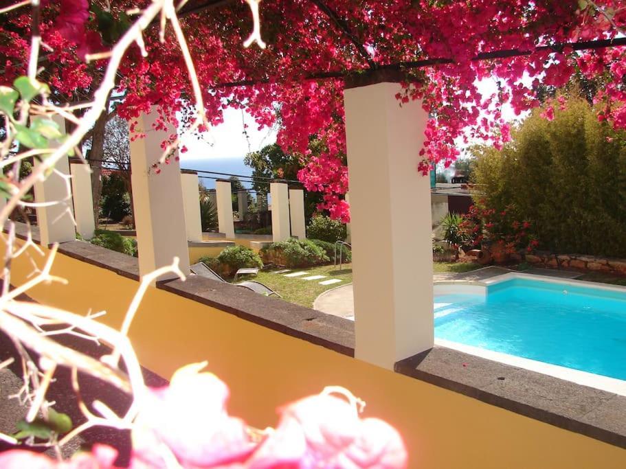 Private Pool Apt. With Great View Funchal  Extérieur photo