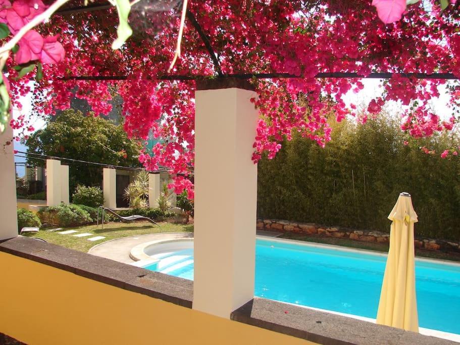 Private Pool Apt. With Great View Funchal  Extérieur photo