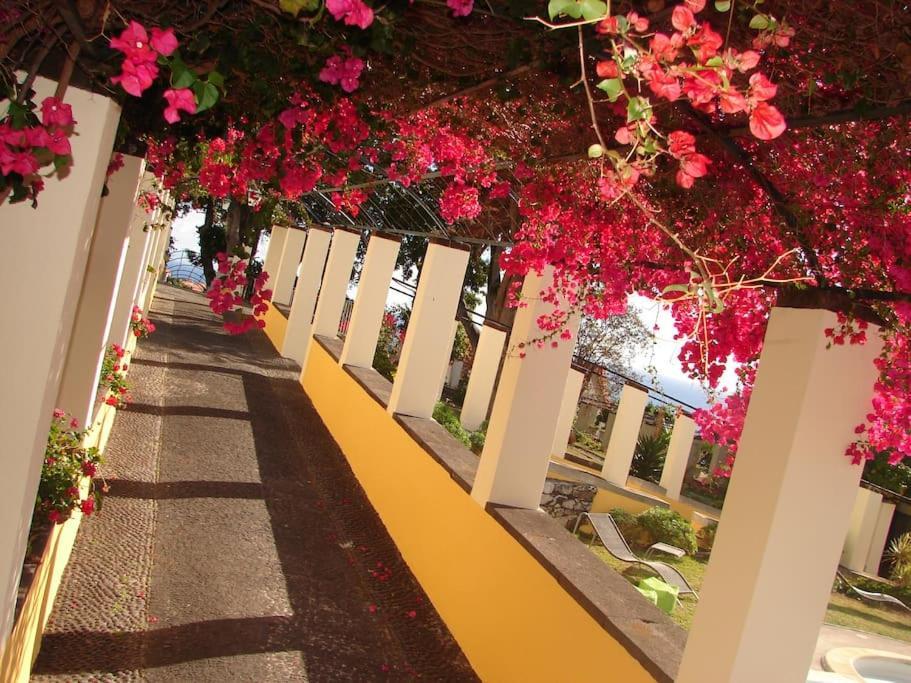 Private Pool Apt. With Great View Funchal  Extérieur photo