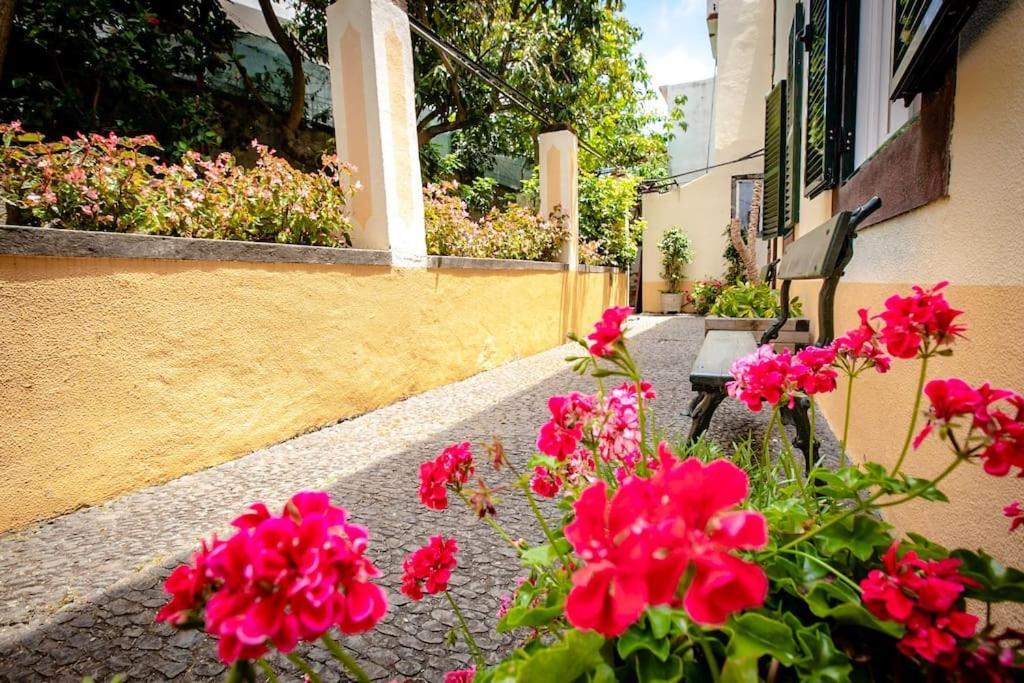 Private Pool Apt. With Great View Funchal  Extérieur photo